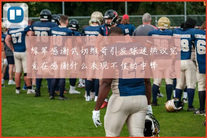 绿军感谢武切维奇引发球迷热议究竟在感谢什么表现不佳的中锋