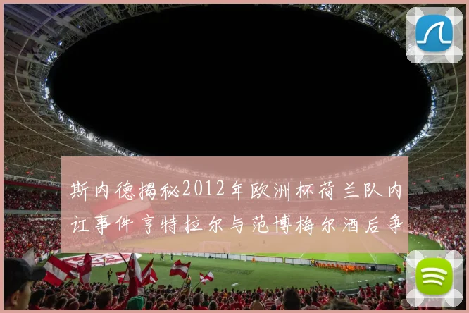 斯内德揭秘2012年欧洲杯荷兰队内讧事件亨特拉尔与范博梅尔酒后争执内幕
