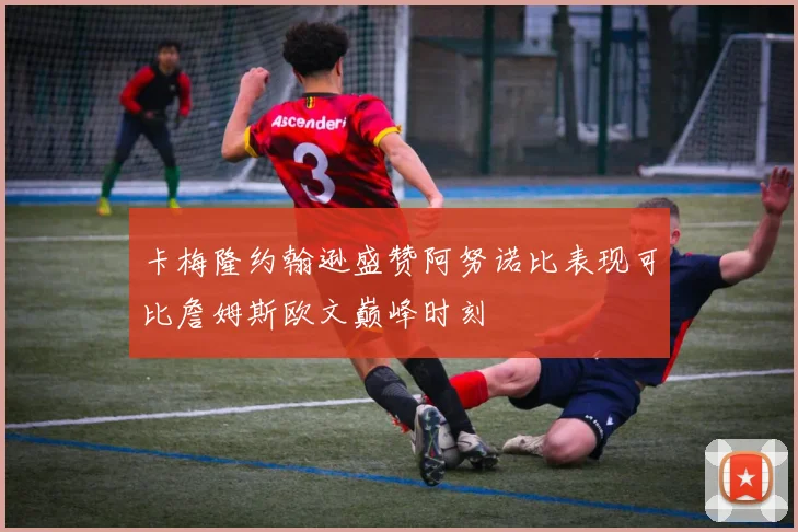 卡梅隆约翰逊盛赞阿努诺比表现可比詹姆斯欧文巅峰时刻